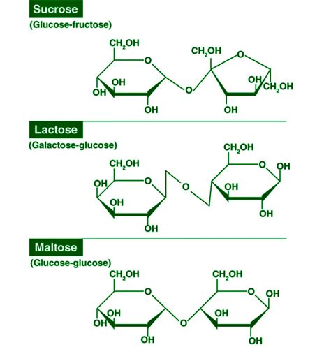 Carbohydrates Structure