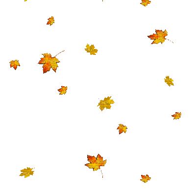 Falling Leaves Gif Transparent