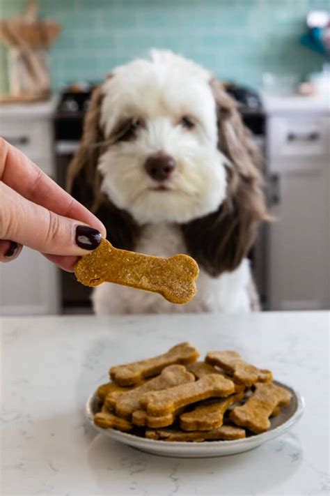 Homemade Dog Cookies Recipe - Crazy for Crust