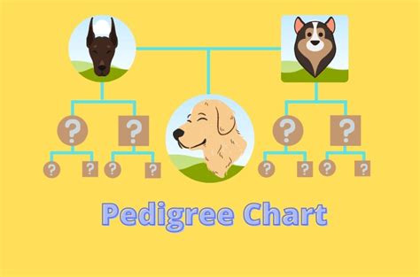 Animal Pedigree Presentation - tropicalexpressllc.com