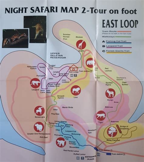 Night Safari walking trails map (1997) - ZooChat