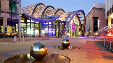 Sheffield Winter Garden Tours - Book Now | Expedia