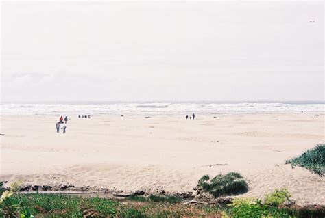 Agate beach Oregon | Oregon travel, Beach, Trip