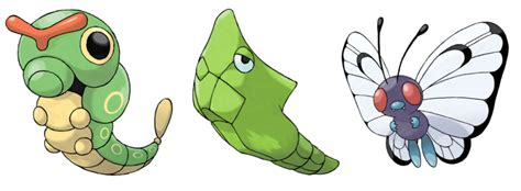 Caterpie, Metapod and Butterfree (three ‘evolutionary’ stages for this ...