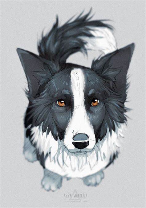 border collie sketch by azzai on DeviantArt | Pet stroller, Dog drawing ...