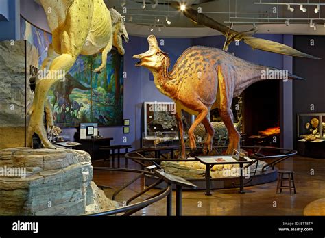 Dinosaur Exhibit, San Diego Natural History Museum, Balboa Park, San ...