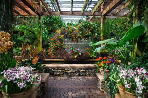 Atlanta Botanical Garden - A Vibrant Floral Wonderland – Go Guides