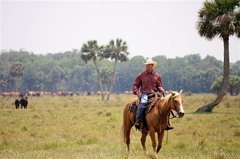 Deseret Ranches Of Florida | Home