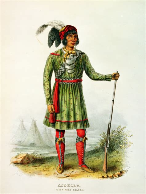 The Seminole Wars : interestingasfuck