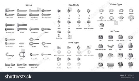 Various Types Screws Bolts Set Screws Stock Vector (Royalty Free) 752579293