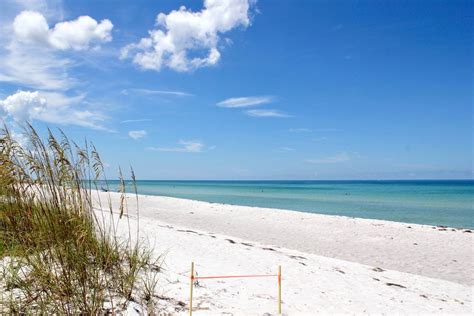 Surprising Facts About Sarasota | Must Do Visitor Guides