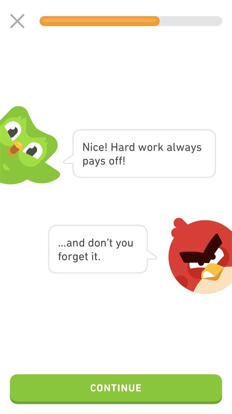 Angry bird the new killer Duolingo meme??? : r/duolingomemes