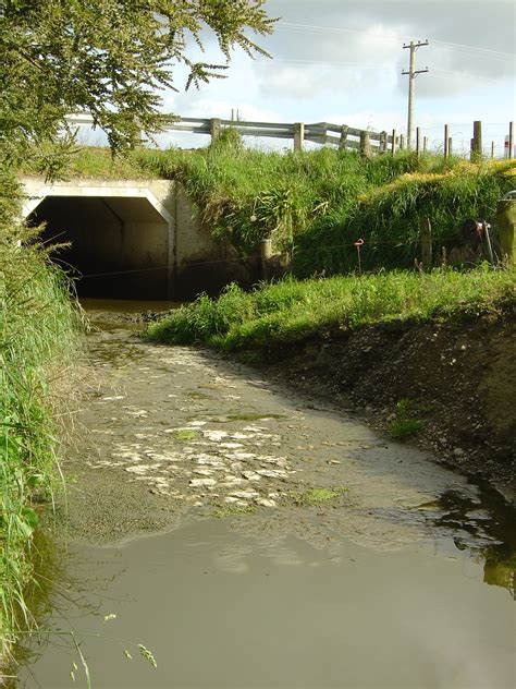 File:Water pollution in the Wairarapa.JPG - Wikipedia