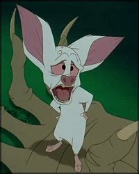 38 Best Bartok the bat ideas | bartok the bat, anastasia movie, anastasia