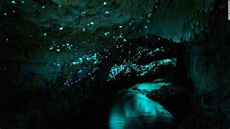 At Waitomo Caves in New Zealand, glowworms illuminate the darkness ...