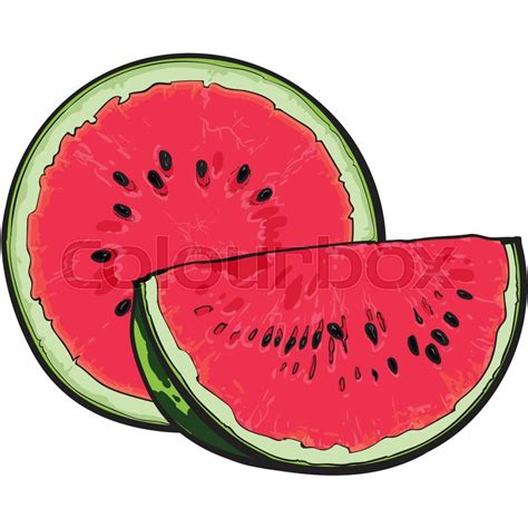 Watermelon Sketch at PaintingValley.com | Explore collection of ...