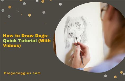 How to Draw Dogs- Quick Tutorial (With Videos)