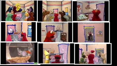 Elmo’s World - Various Song (combined) - YouTube