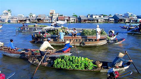 Tour Miền Tây Sông Nước 4N3D: Khởi Hành Từ Cần Thơ