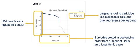 Cell Ranger's Web Summary Barcode Rank Plot - Official 10x Genomics Support