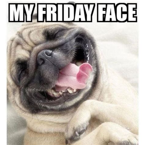 My Friday face | Funny friday memes, Friday meme, Thursday humor