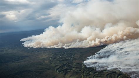 How breathing in wildfire smoke affects the body