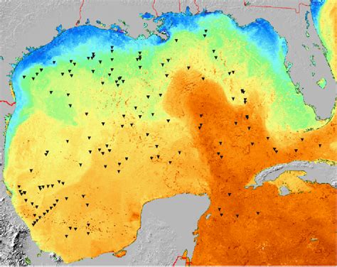 Gulf Of Mexico Sea Surface Temperature Map