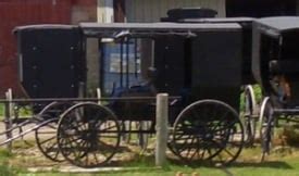 Who are the Swartzentruber Amish?