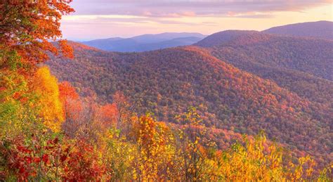 Top Hiking Trails in the Shenandoah Valley | Northern VA Hiking Guide