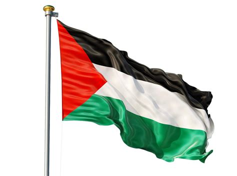 Old Palestine Flag