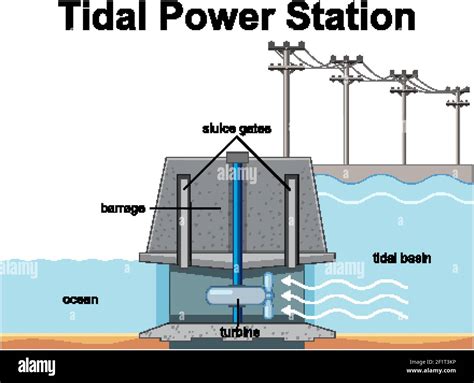 Diagram showing Tidal Power Station illustration Stock Vector Image ...