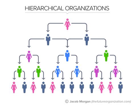 Hierarchical Organizational Structure Diagram Free Editable