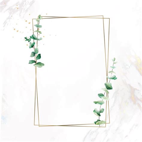 Hand drawn eucalyptus leaf with rectangle gold frame vector | premium ...