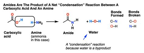 Amide Hydrolysis Using Acid Or Base – Master Organic Chemistry