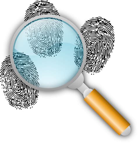 Forensic Investigation Clip Art at Clker.com - vector clip art online ...