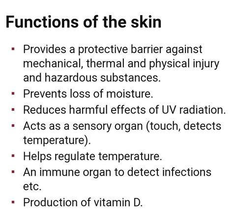 Functions Of The Skin