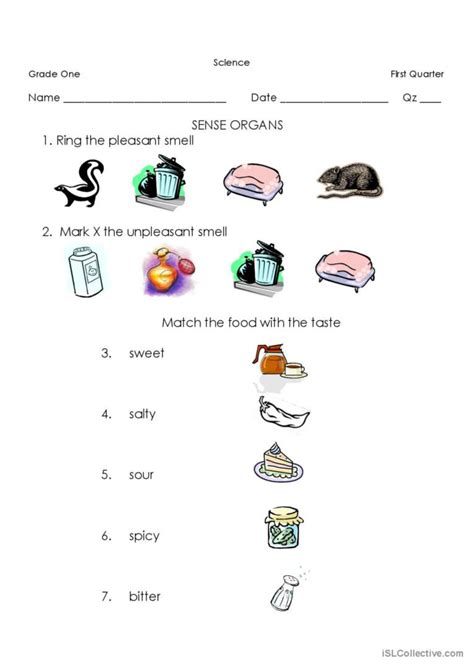 Sense Organs: English ESL worksheets pdf & doc