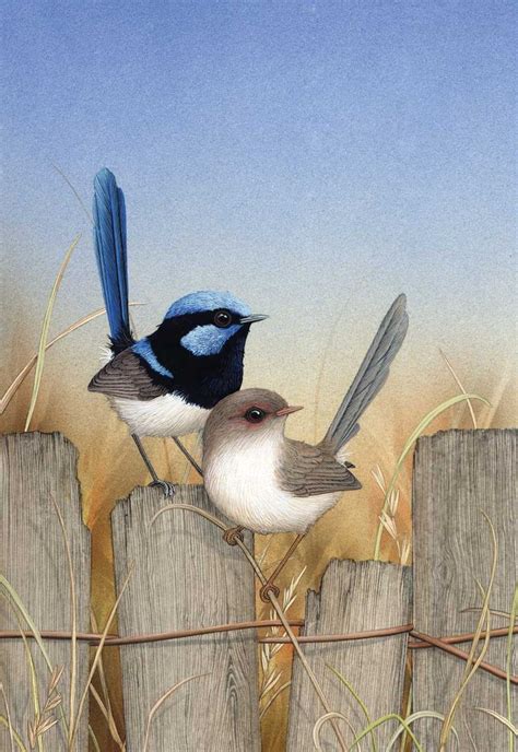 155 best Blue wren inspired arts and crafts images on Pinterest | Bird ...