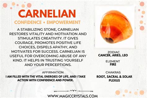 Carnelian Meaning: Healing Properties and Everyday Use,Magic Crystals