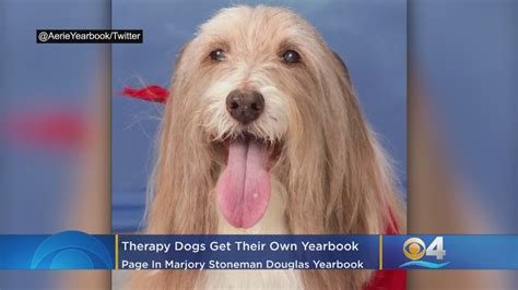 Marjory Stoneman Douglas High Yearbook Goes To The Dogs, Therapy Dogs ...