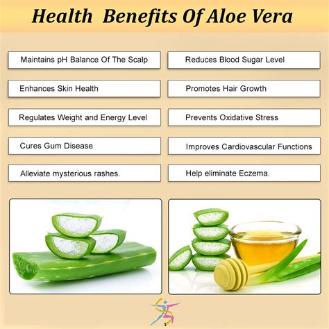 Health benefits of Eating Aloe Vera#WLS #healthyfood #stayfit | A cure ...