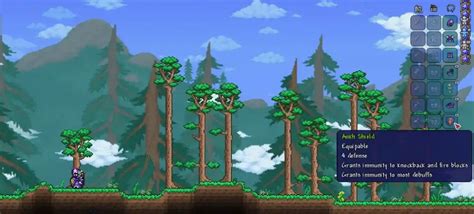 How to Get the Ankh Shield in Terraria