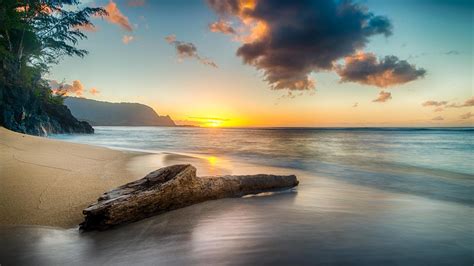 1920x1080 Driftwood On Beach At Sunset On North Shore Of Kauai 8k ...