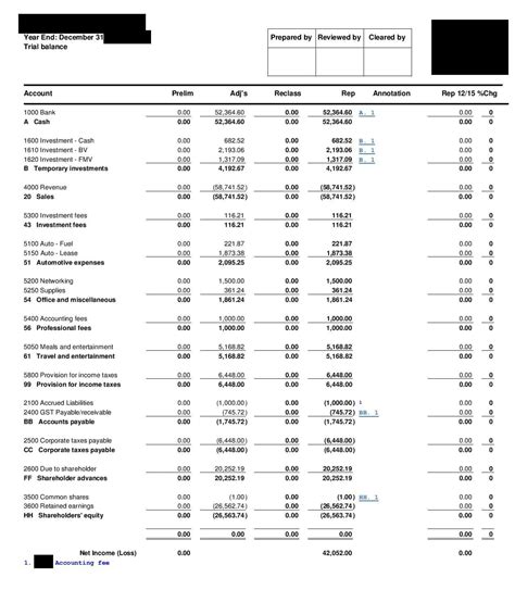 Classified Trial Balance Financial Statement | Alayneabrahams