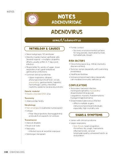 Adenoviridae Notes: Diagrams & Illustrations | Osmosis