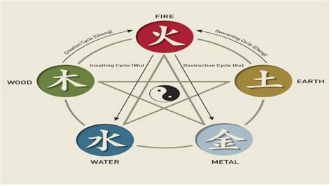 Chinese Zodiac Elements: Discover Yours and Its Meaning | Gaia