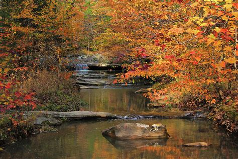 Autumn Creek in Shawnee National Forest Photograph by Greg Matchick ...