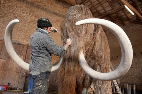 Scientists fully decode a pair of mammoth DNA genomes | Engadget