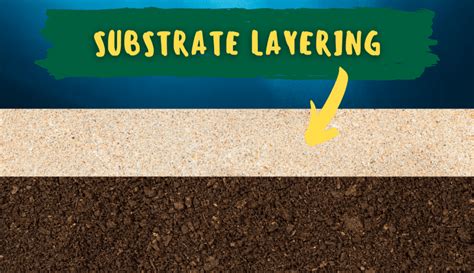 How do you layer a planted aquarium substrate? - Rooted Tank | Planted ...