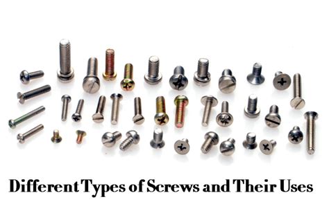 Different Types Of Screws And Their Uses Understanding Wood Screws ...